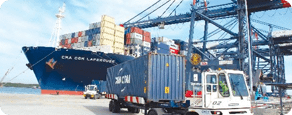 Thiết kế nhận diện thương hiệu<br>cho doanh nghiệp xuất nhập khẩu