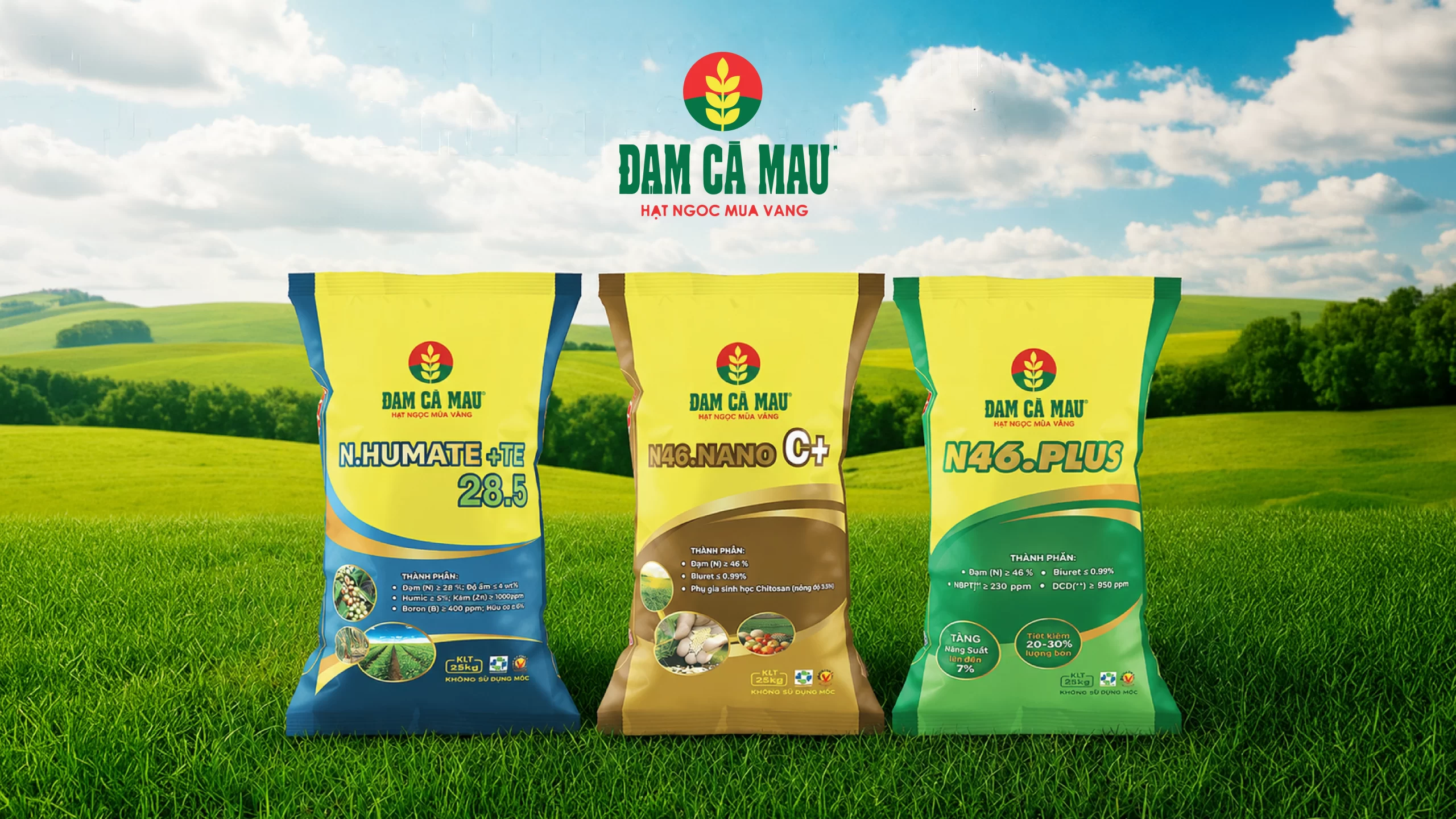 PROJECT_du-an-dam-ca-mau-15